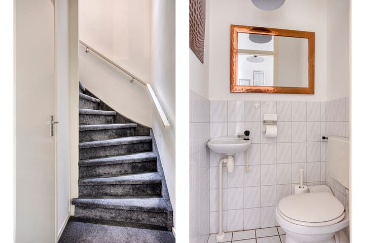 Foto 13 van Silene 81