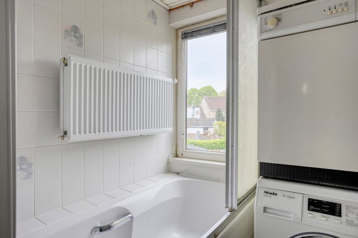 Foto 17 van Silene 81