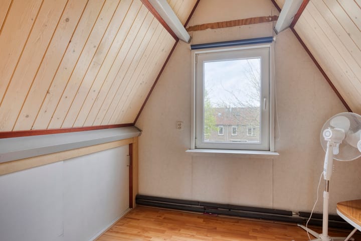 Foto 20 van Silene 81