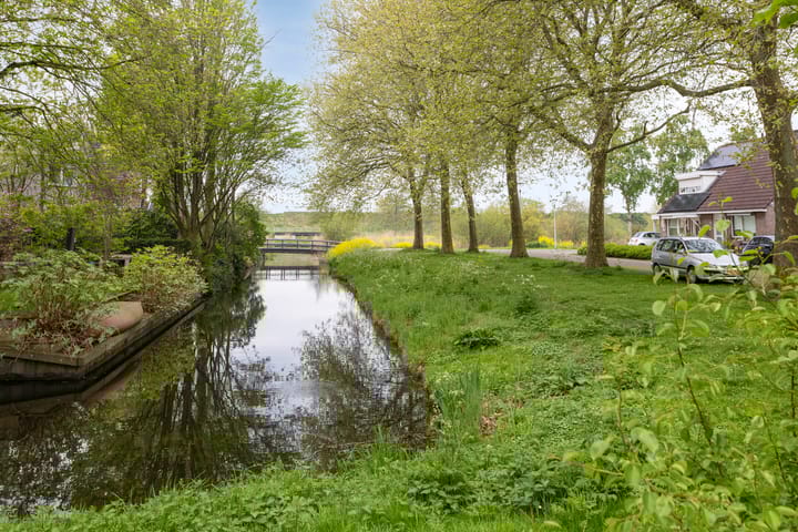 Foto 25 van Silene 81