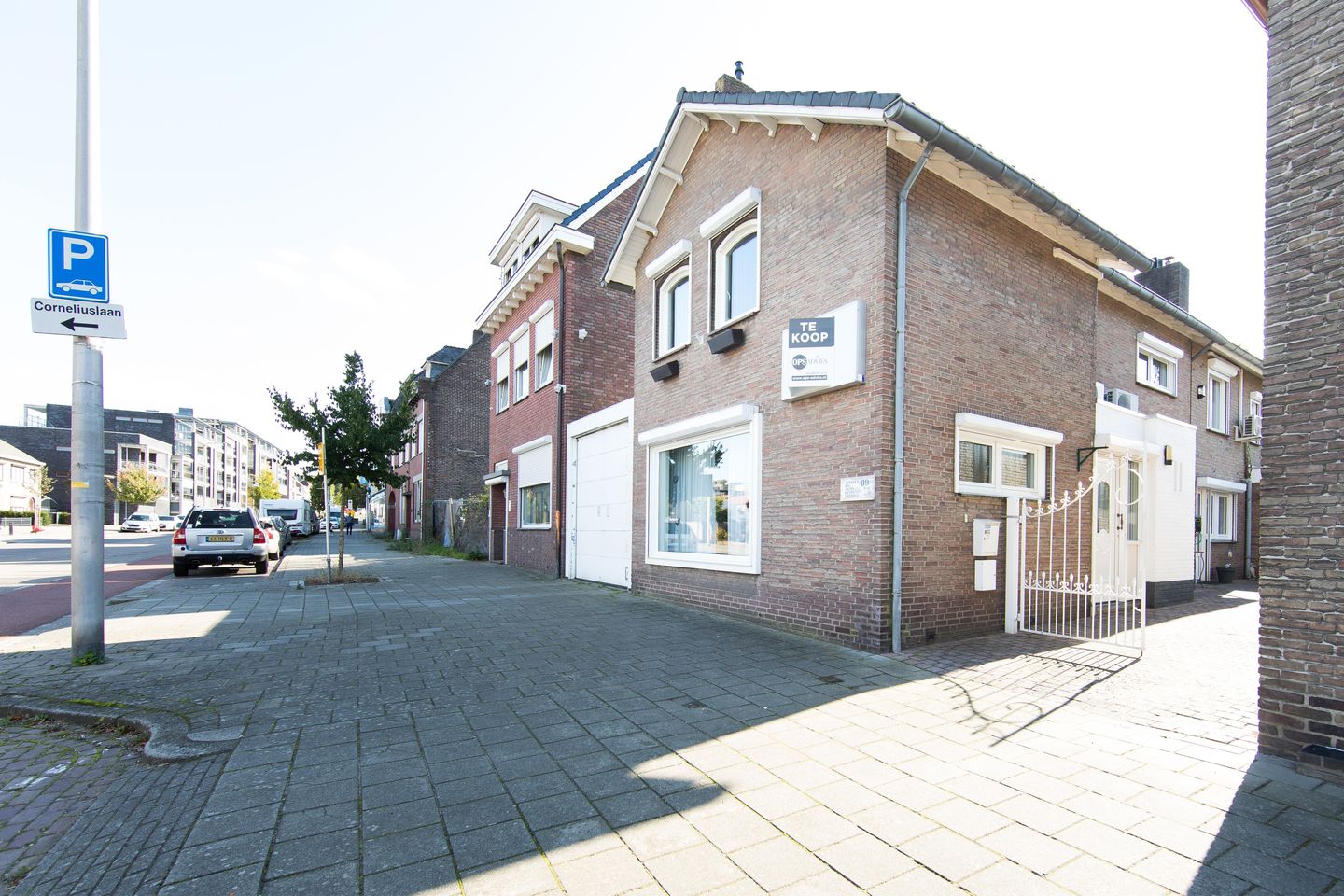 Foto 1 van Ganzeweide 89