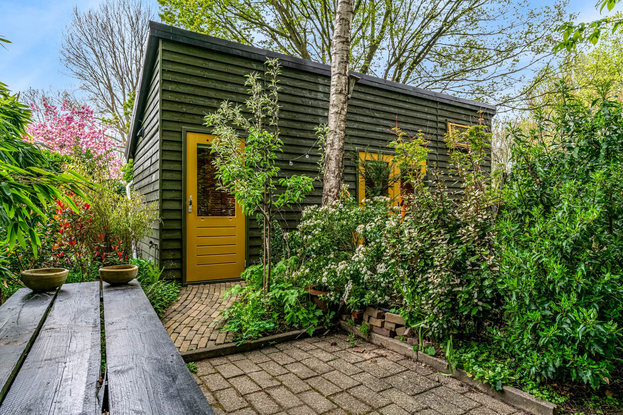 Photo 51 of Weegbree 72