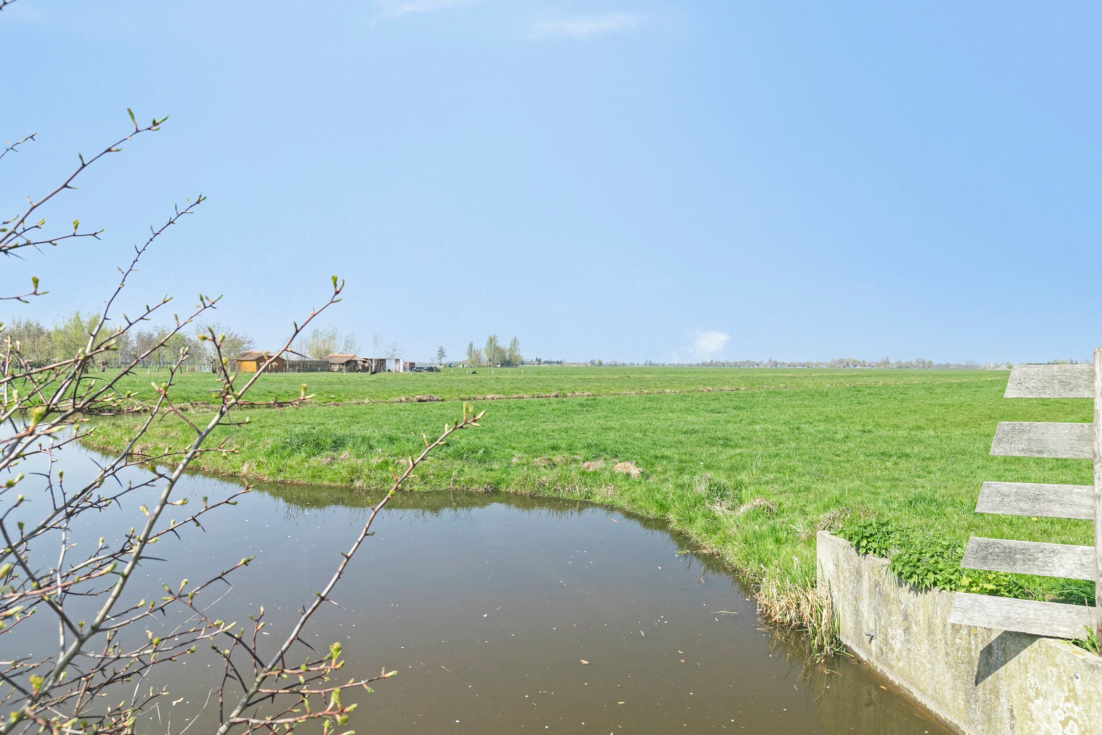 Foto 27 van Jan Lutmastraat 59