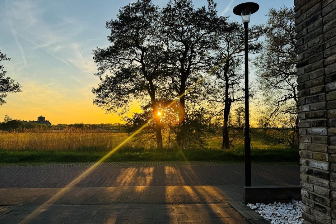 Foto 41 van Kamperfoeliedreef 13