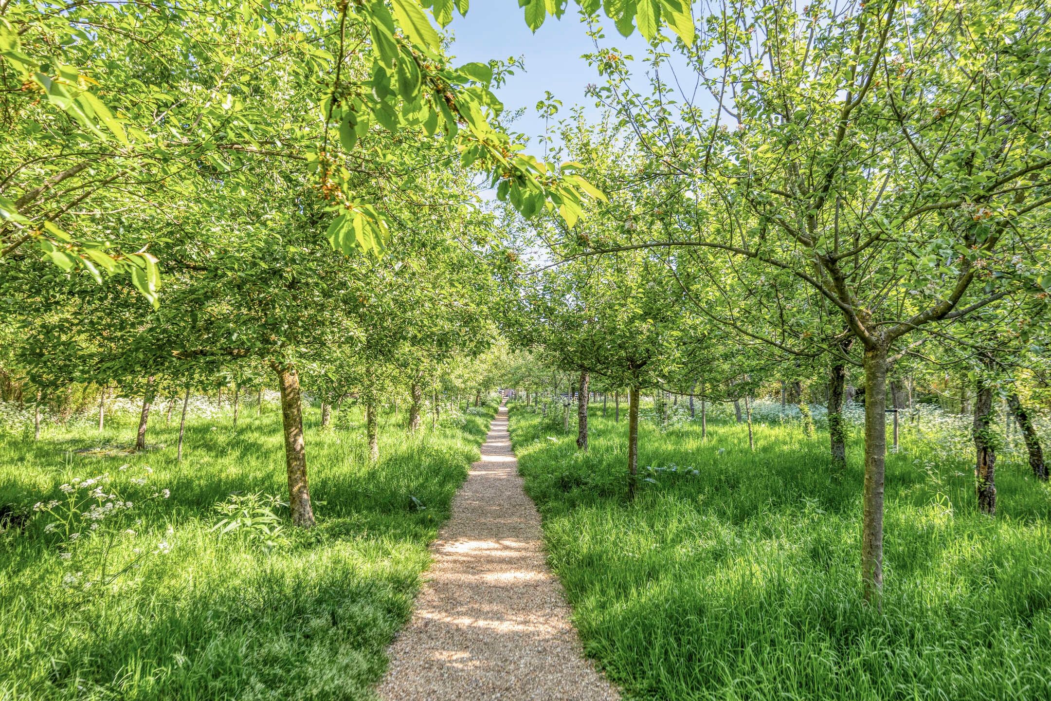 Foto 30 van Prinsenweer 21