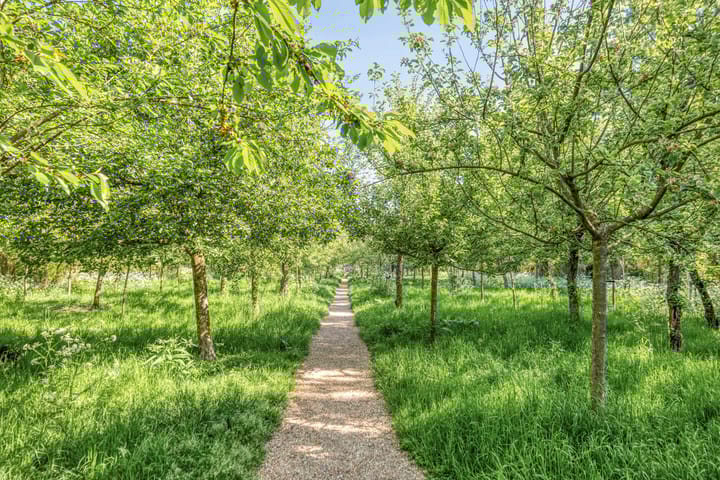 Photo 30 of Prinsenweer 21