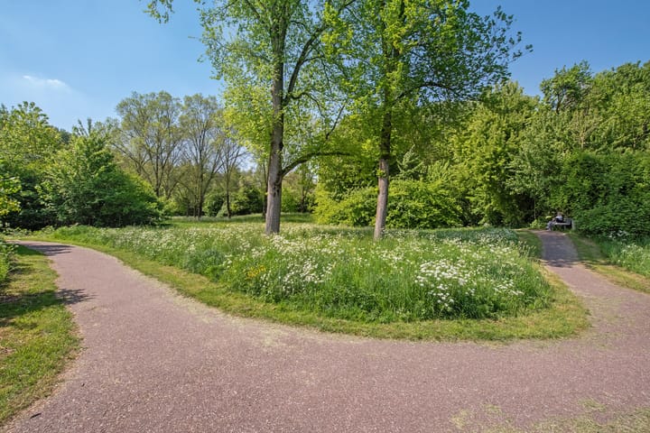 Foto 46 van Duke Ellingtonrode 30