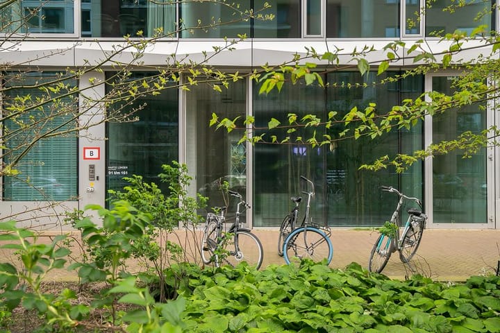 Foto 54 van Anton Philipslaan 161