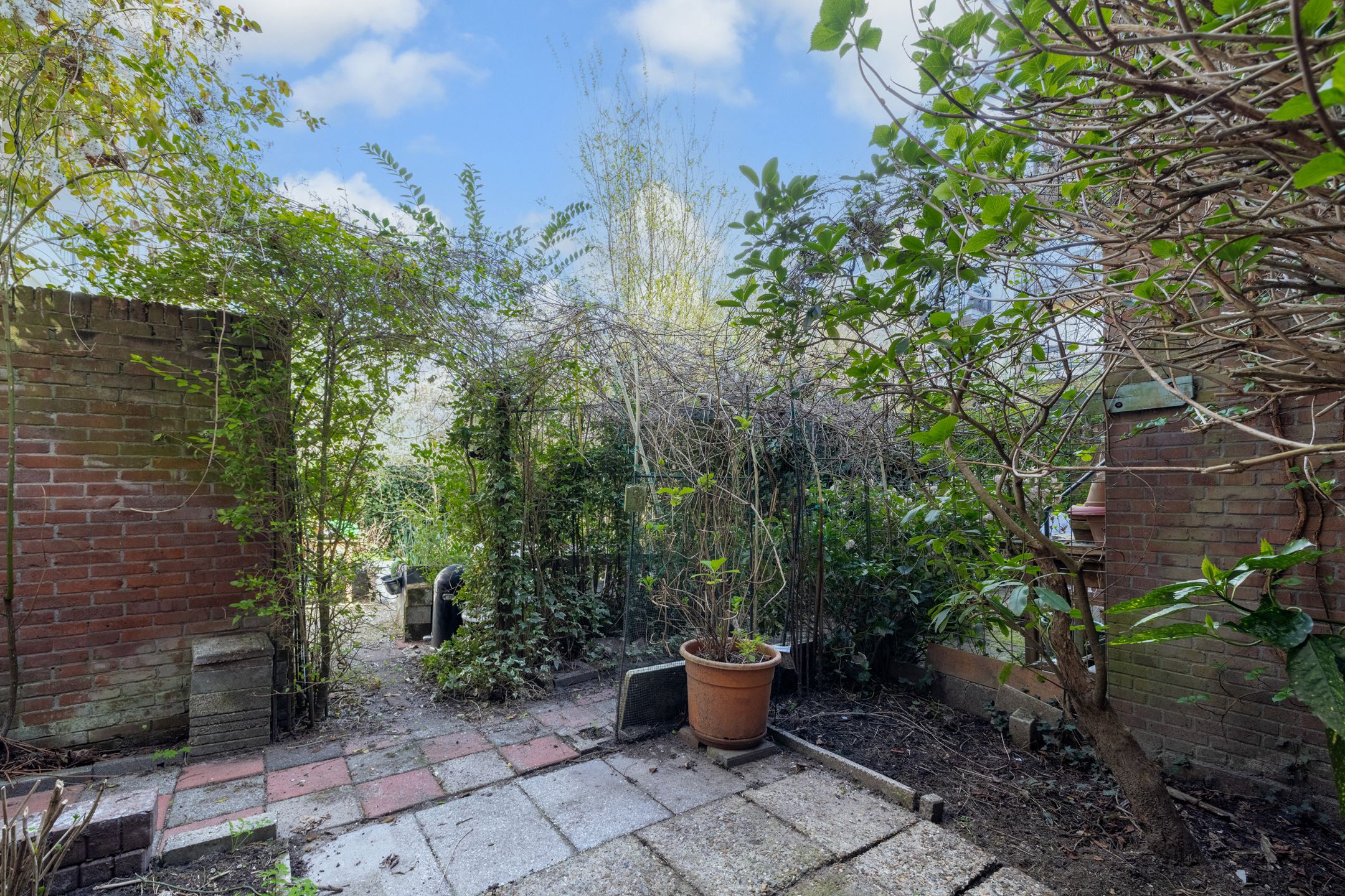 Foto 18 van Avenue Concordia 54-A