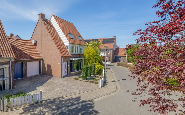 Cijnsbeemden 6