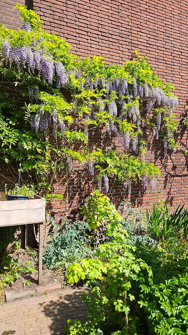 Foto 34 van J.H. Leopoldstraat 20