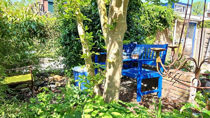 Foto 37 van J.H. Leopoldstraat 20