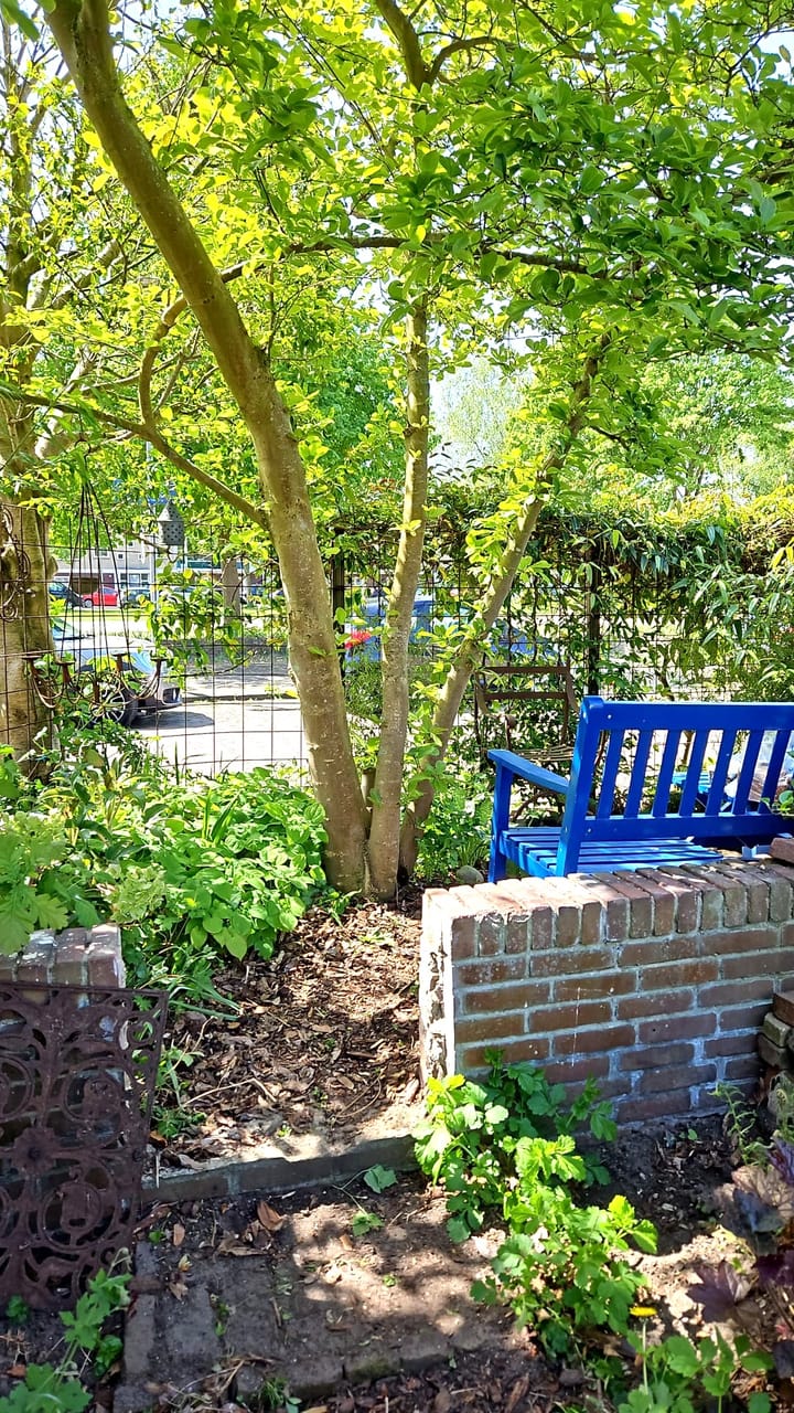 Foto 38 van J.H. Leopoldstraat 20