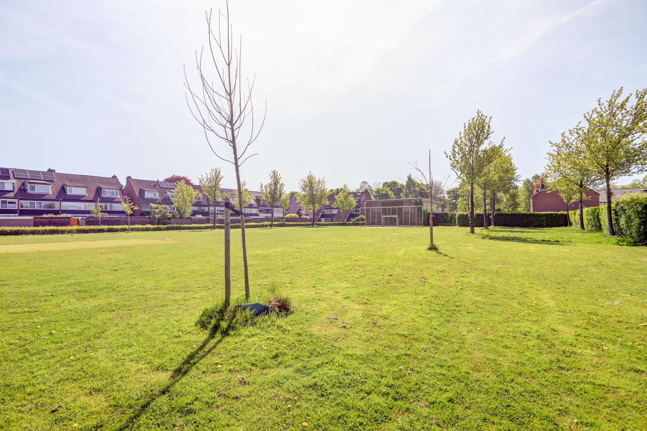 Foto 36 van Driehoek 88