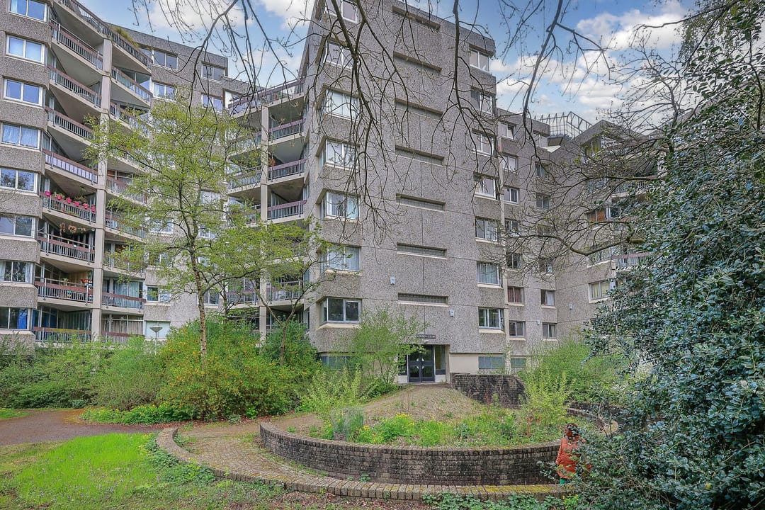 Photo 2 of Gouden Leeuw 515