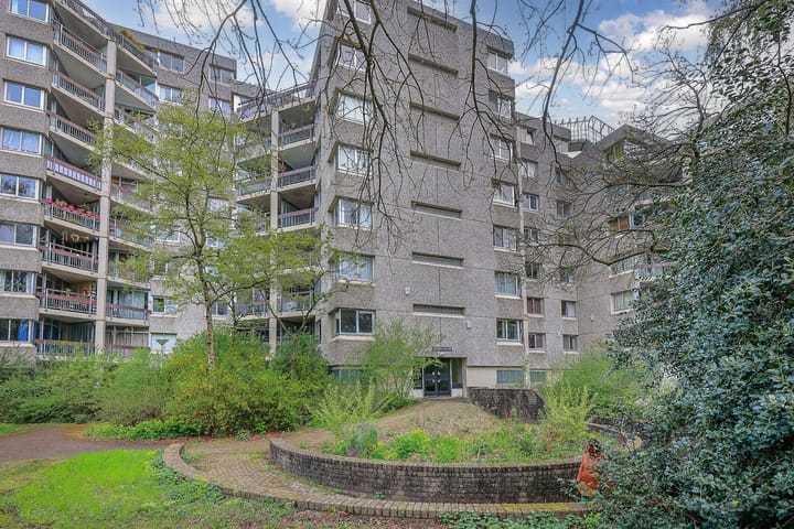 Foto 2 van Gouden Leeuw 515