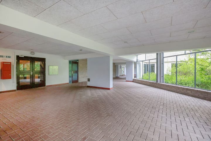 Foto 3 van Gouden Leeuw 515