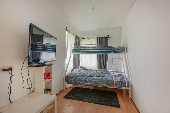 Foto 19 van Gouden Leeuw 515