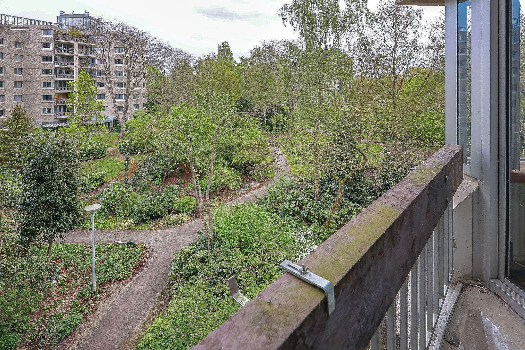 Photo 24 of Gouden Leeuw 515