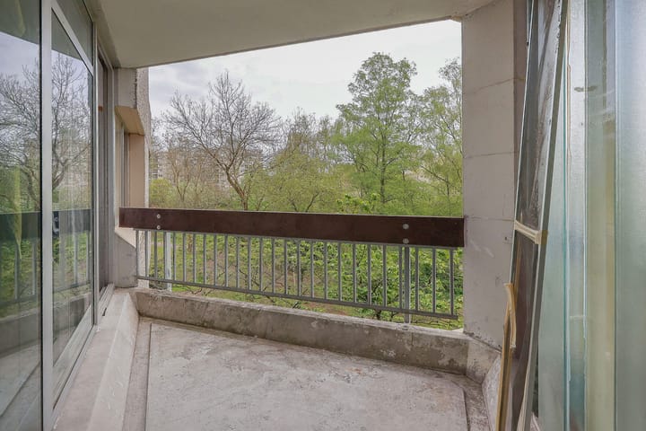 Foto 25 van Gouden Leeuw 515