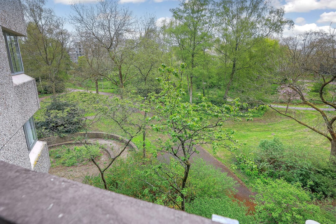 Photo 26 of Gouden Leeuw 515