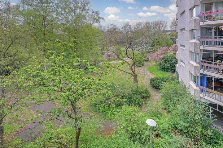 Foto 27 van Gouden Leeuw 515