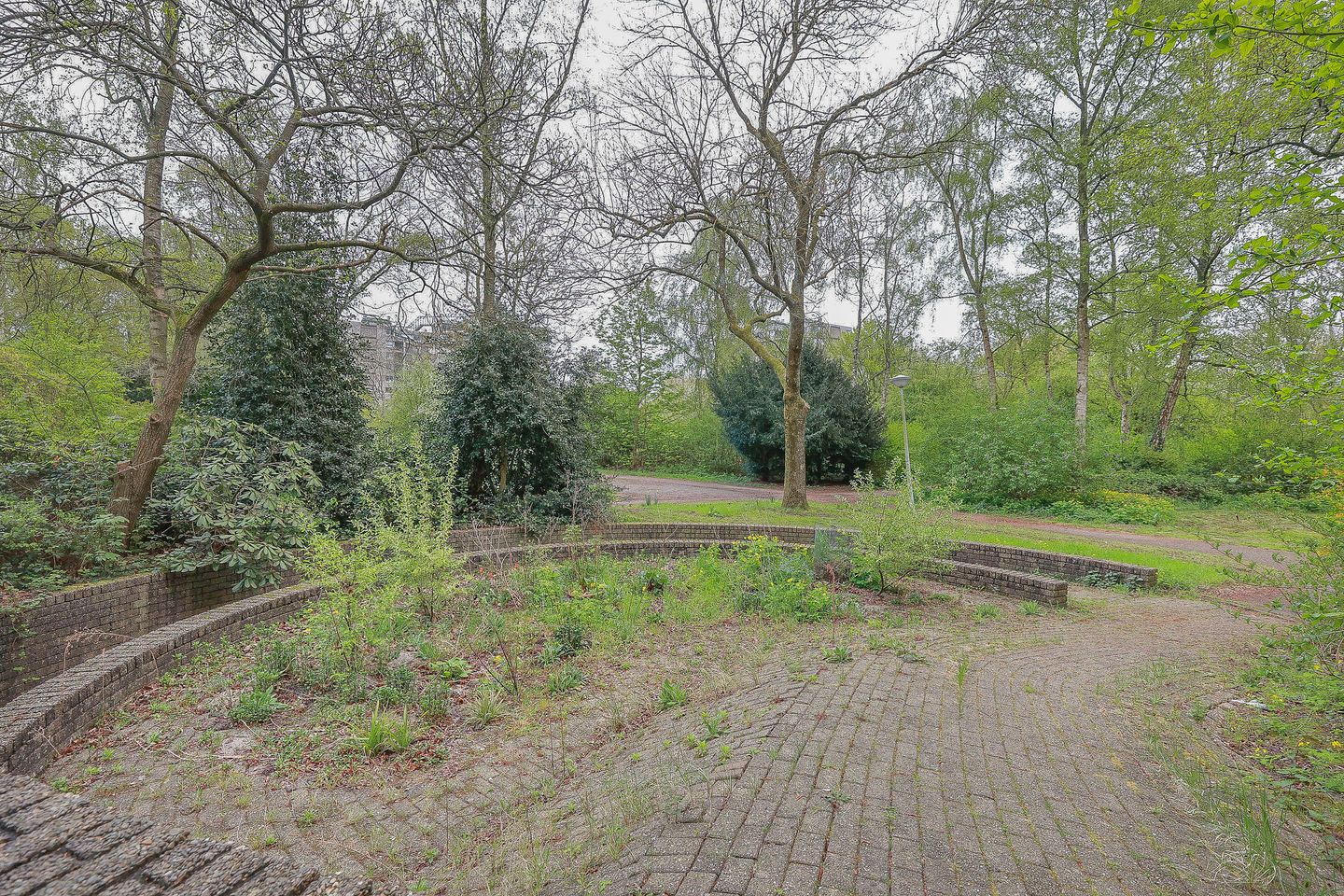 Photo 29 of Gouden Leeuw 515