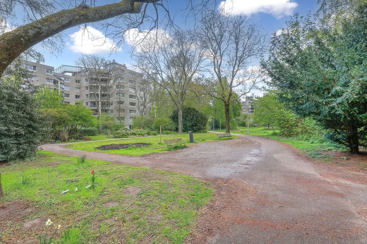 Foto 30 van Gouden Leeuw 515