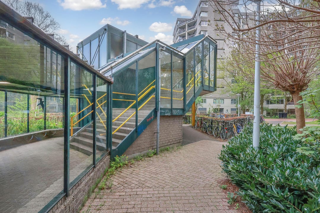 Photo 31 of Gouden Leeuw 515