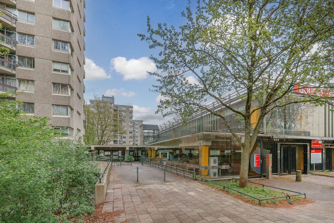 Photo 32 of Gouden Leeuw 515