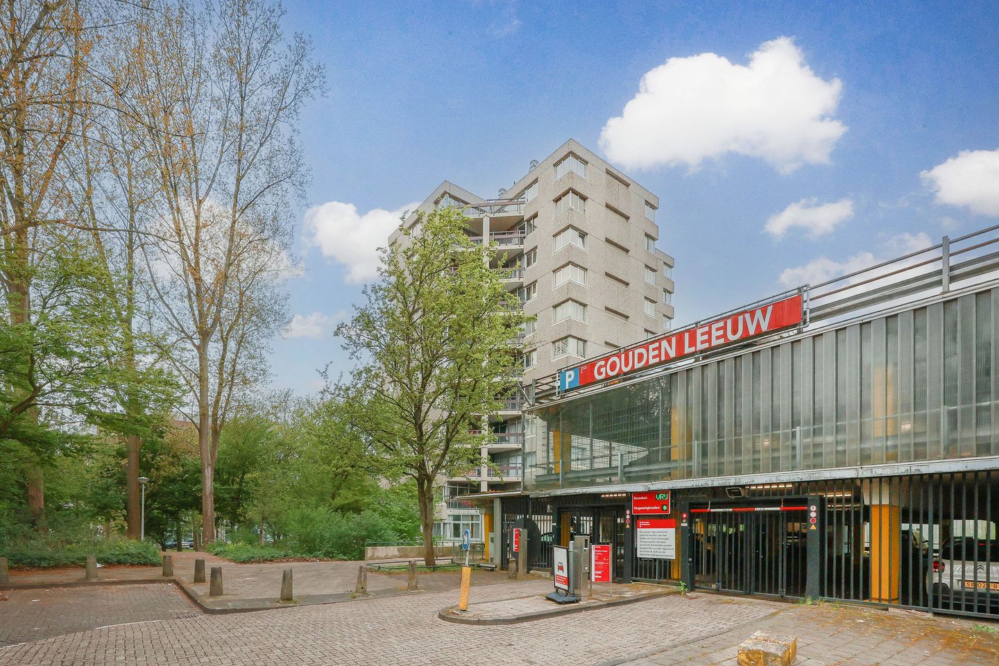 Photo 34 of Gouden Leeuw 515