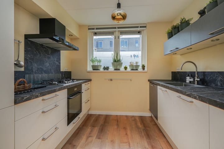 Foto 14 van Ponyweide 27