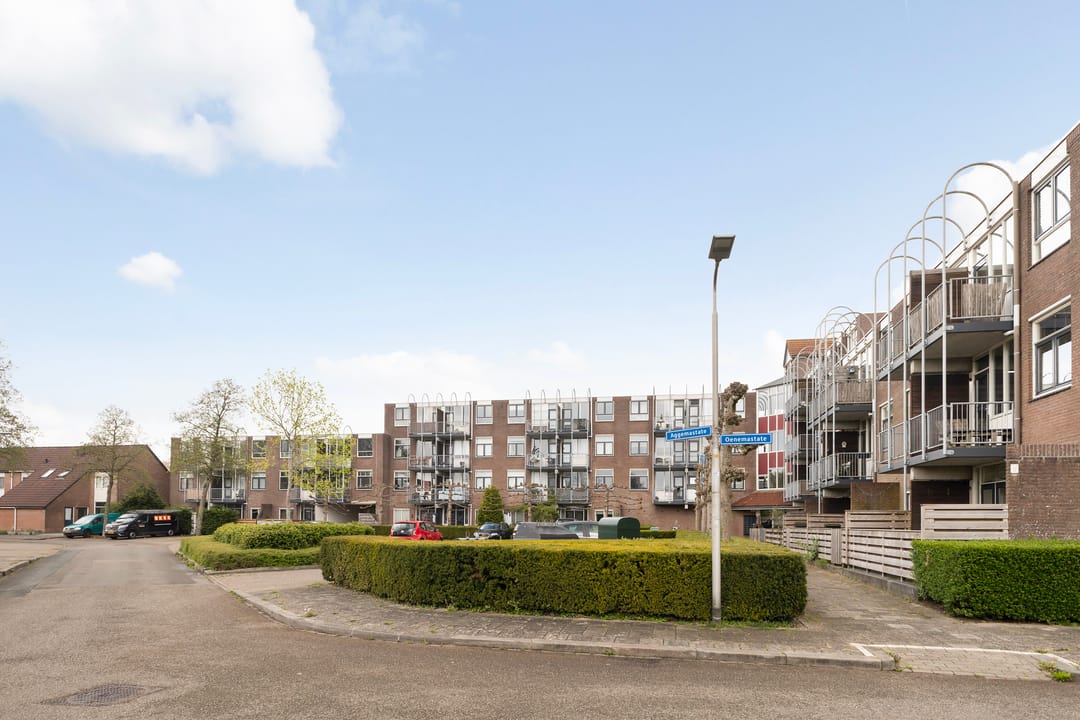 Foto 7 van Aggemastate 38