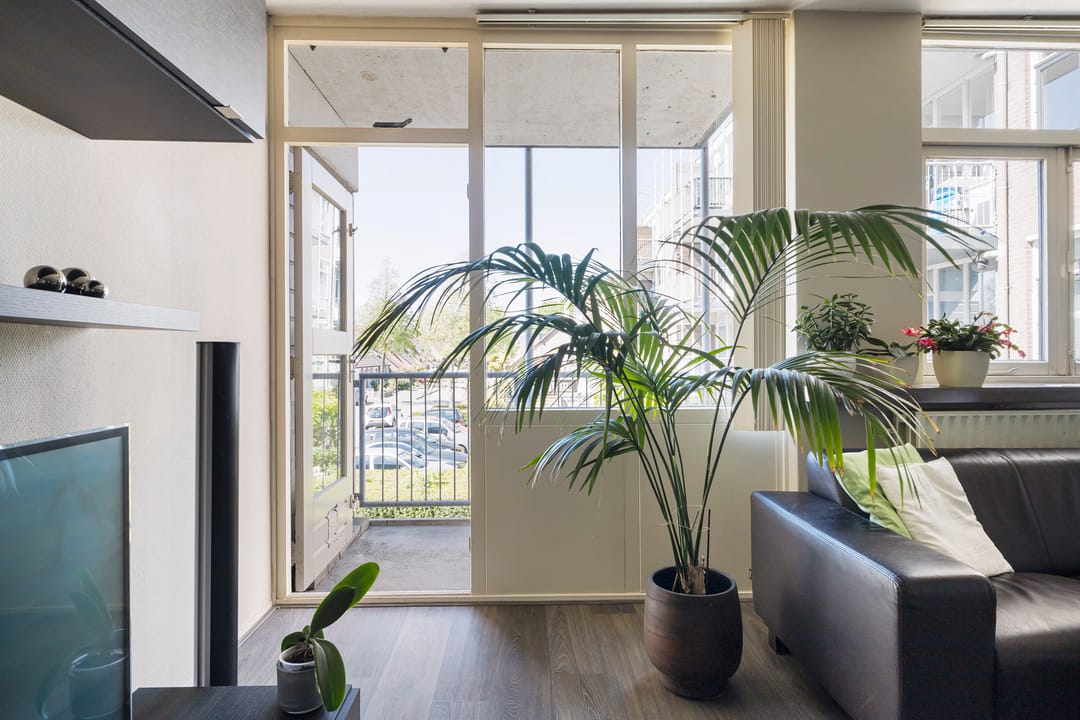 Foto 17 van Aggemastate 38