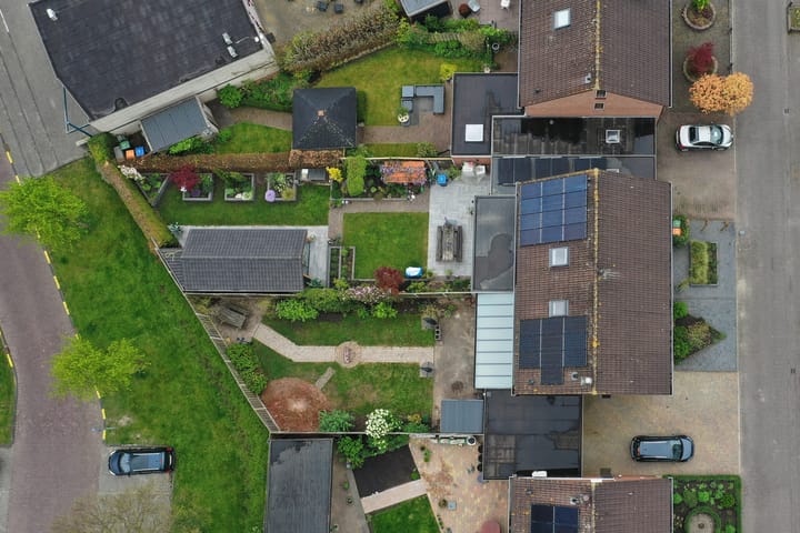 Foto 45 van De Trippen 12