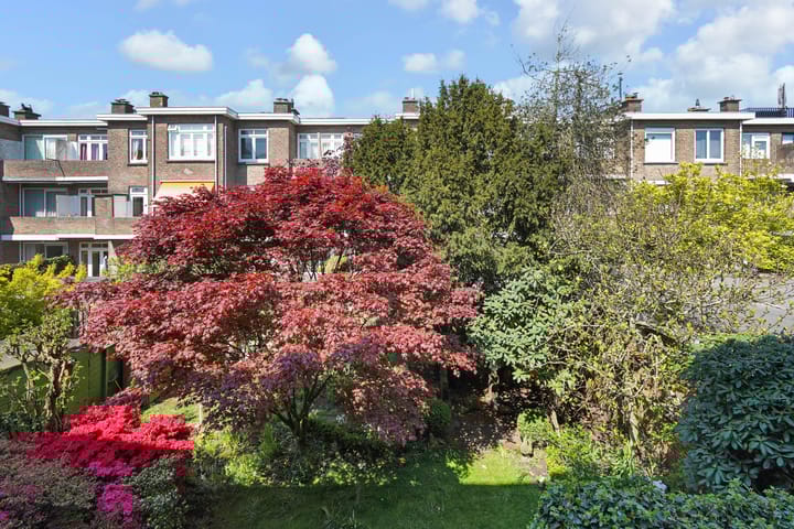 Foto 28 van Van Neckstraat 88