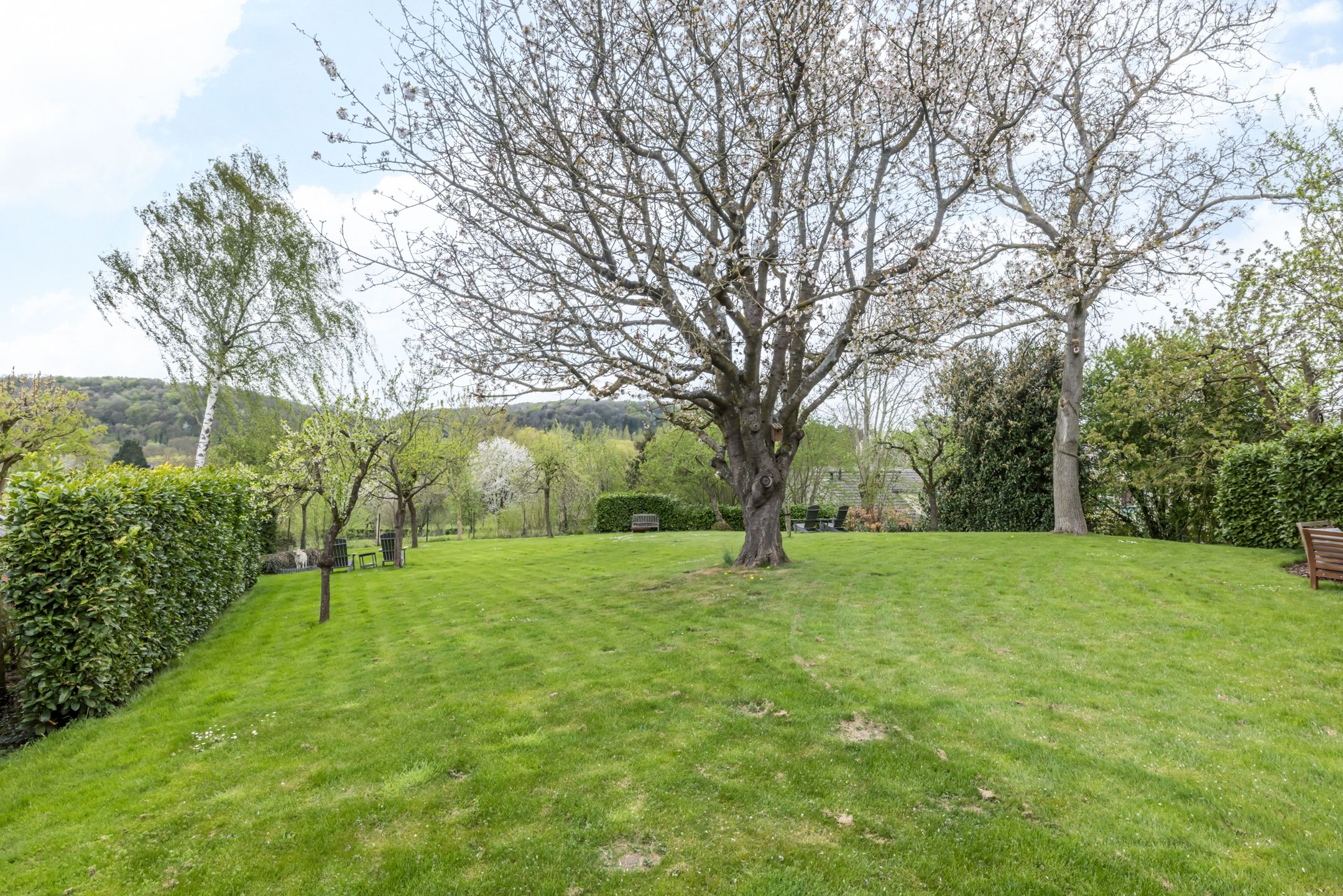 Foto 45 van Knipstraat 13