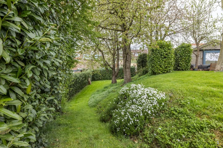 Foto 47 van Knipstraat 13