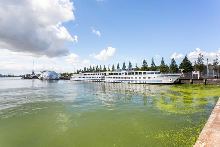 Foto 17 van Lloydkade 603