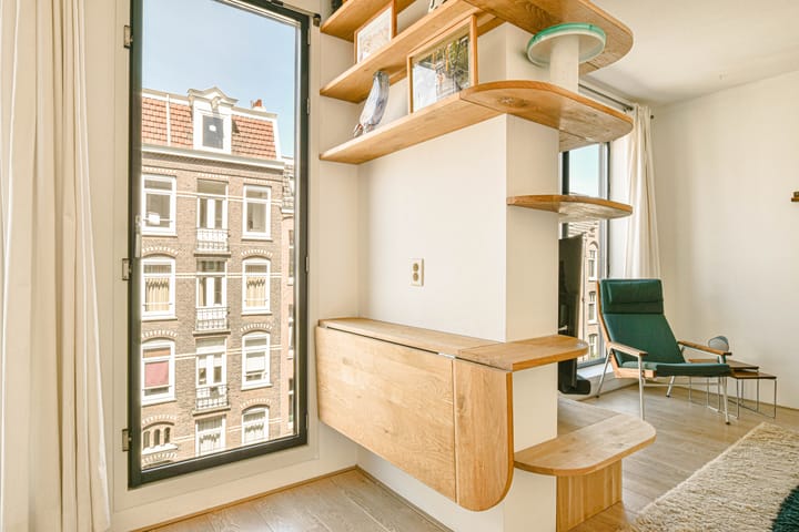 Foto 5 van Van Ostadestraat 230-E