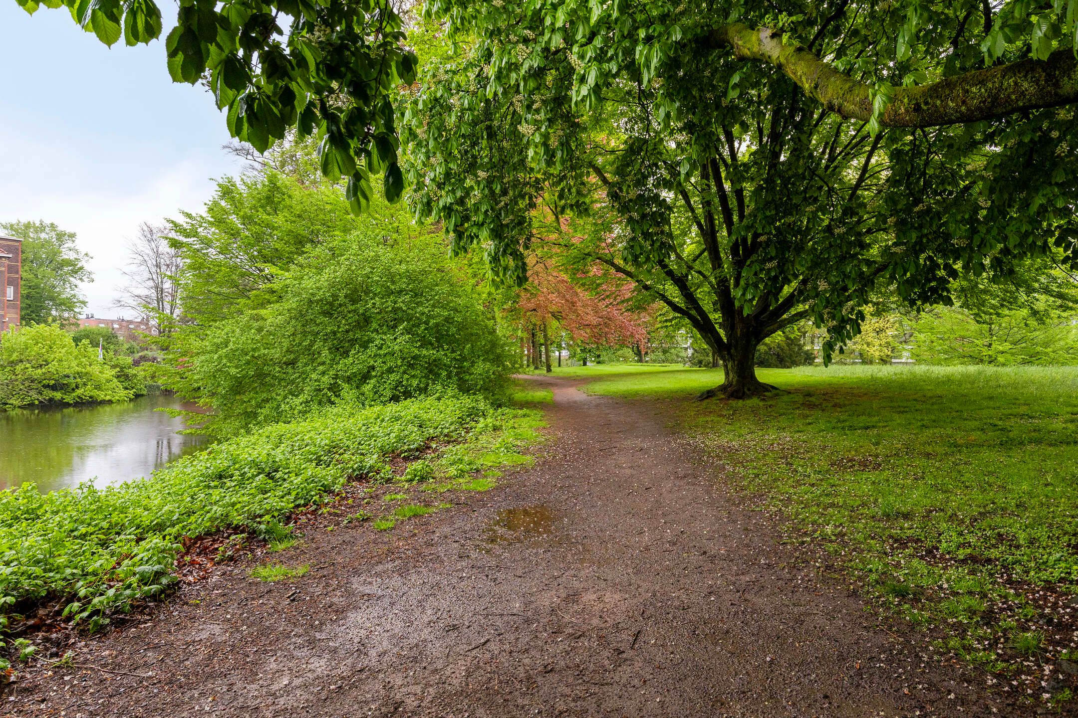 Foto 27 van Burg. Dijckmeesterweg 14