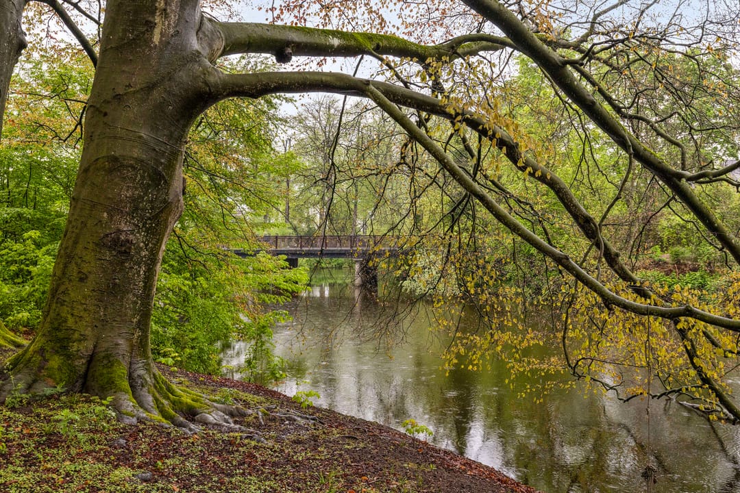 Foto 31 van Burg. Dijckmeesterweg 14