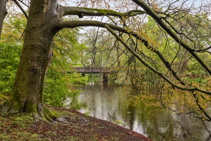 Foto 31 van Burg. Dijckmeesterweg 14