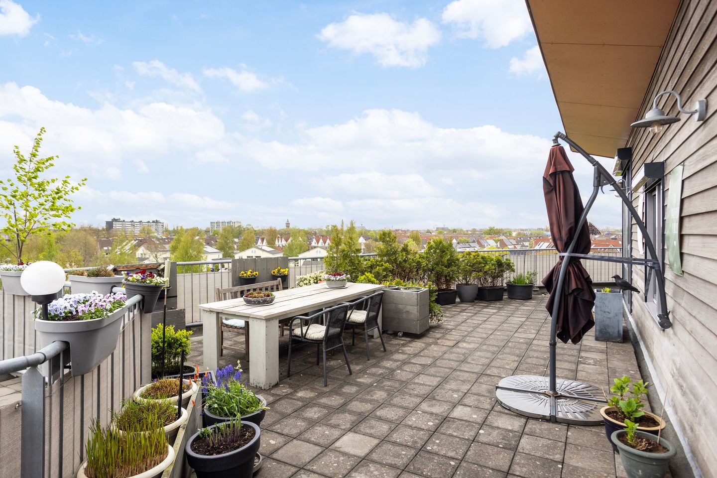 Foto 4 van Keizersmantel 355