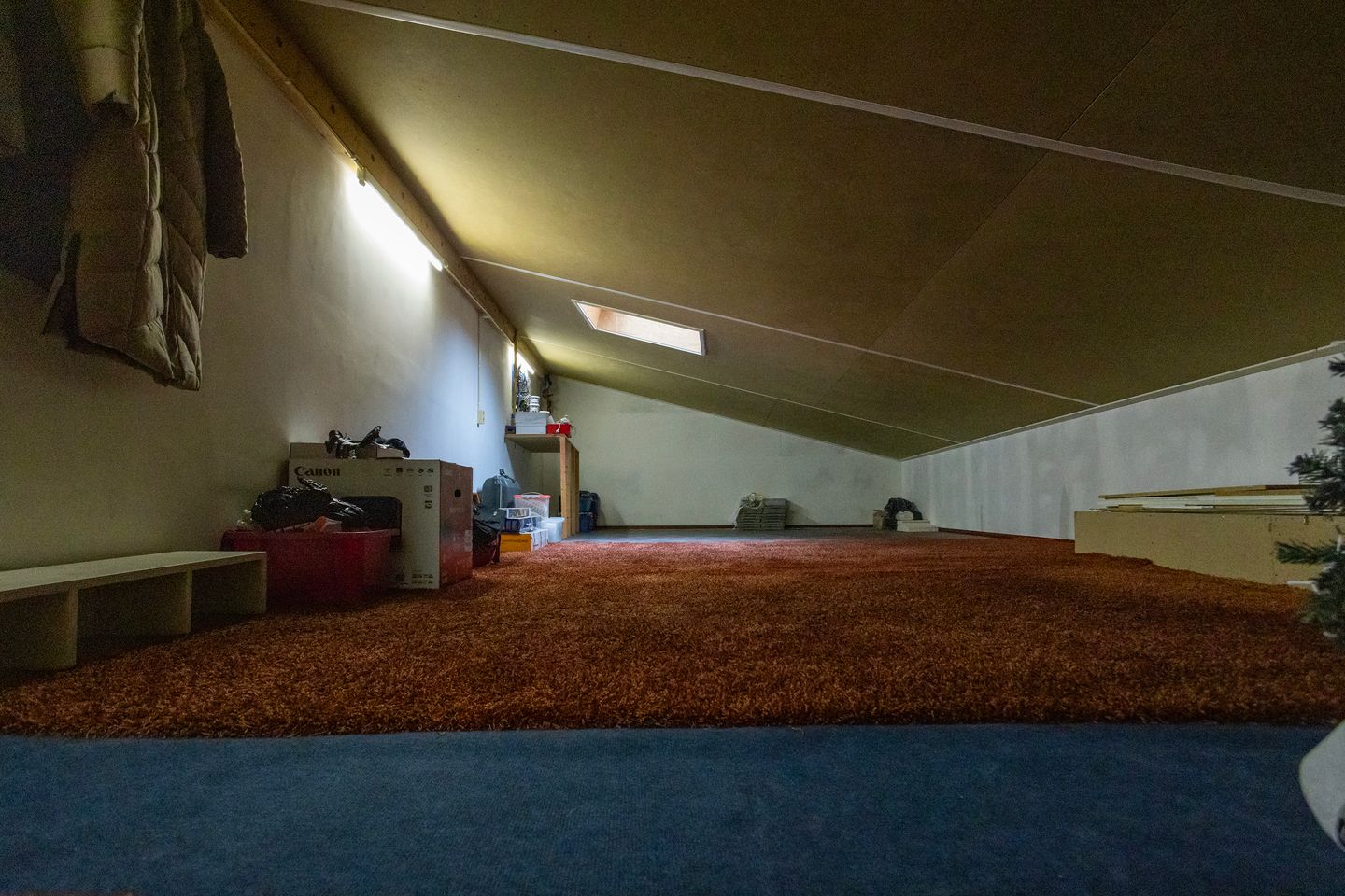 Foto 29 van Keizersmantel 355