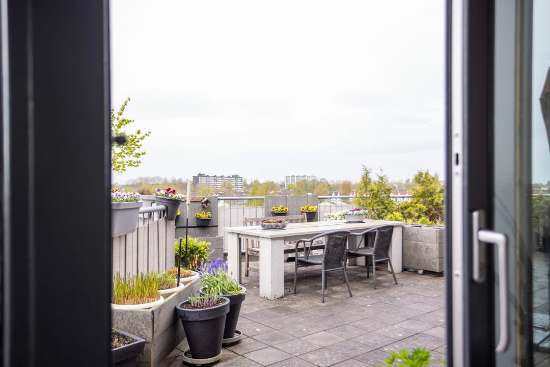 Foto 31 van Keizersmantel 355