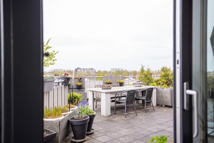 Photo 31 of Keizersmantel 355