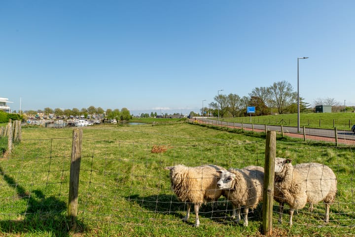 Foto 43 van Optimiststraat 8