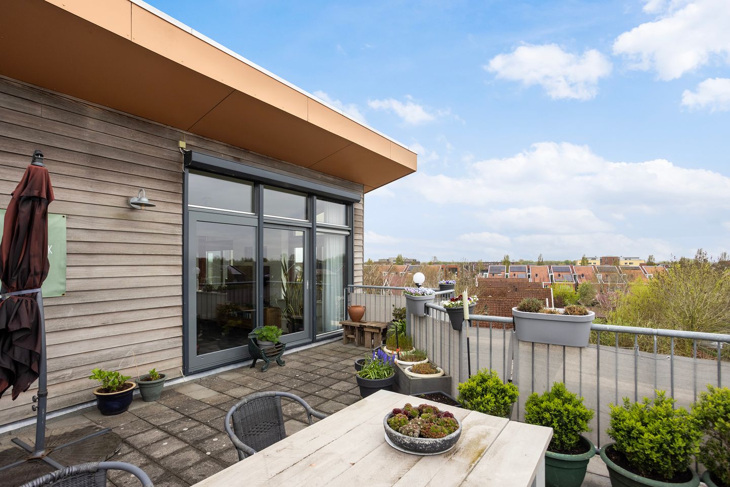 Foto 35 van Keizersmantel 355