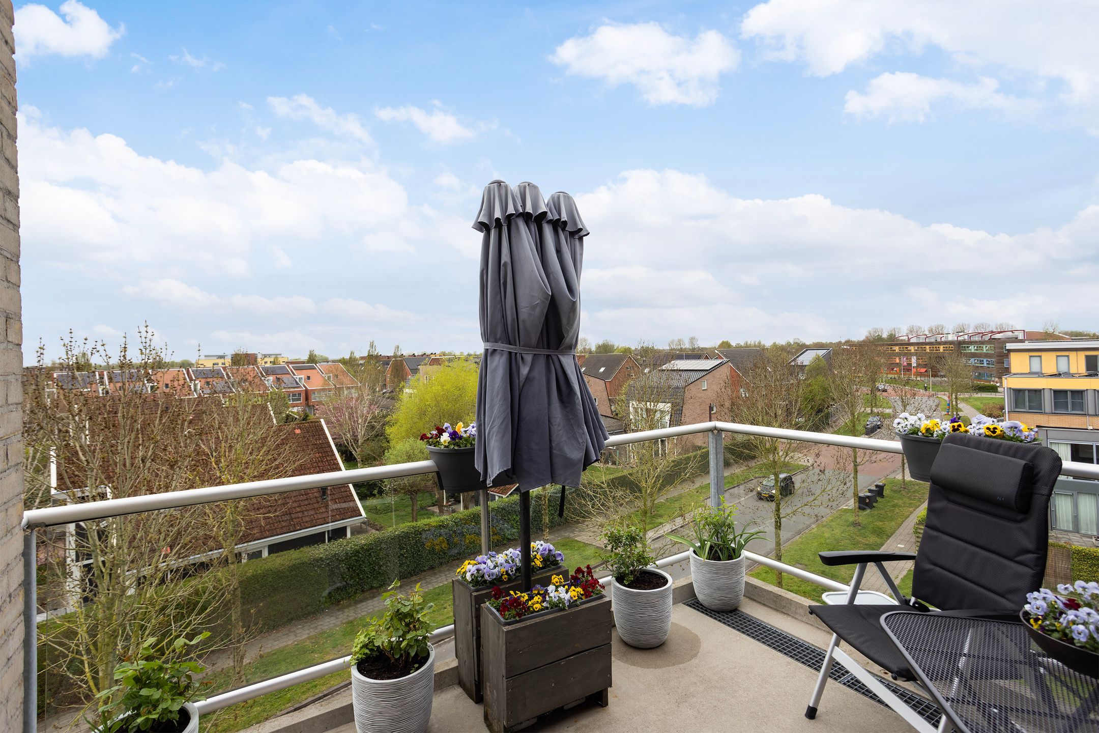 Foto 36 van Keizersmantel 355